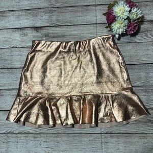 Zara trafaluc collection skirt!